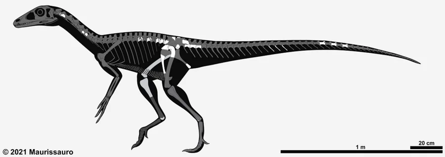 Chindesaurus Museum or fossil reference (not a game render)