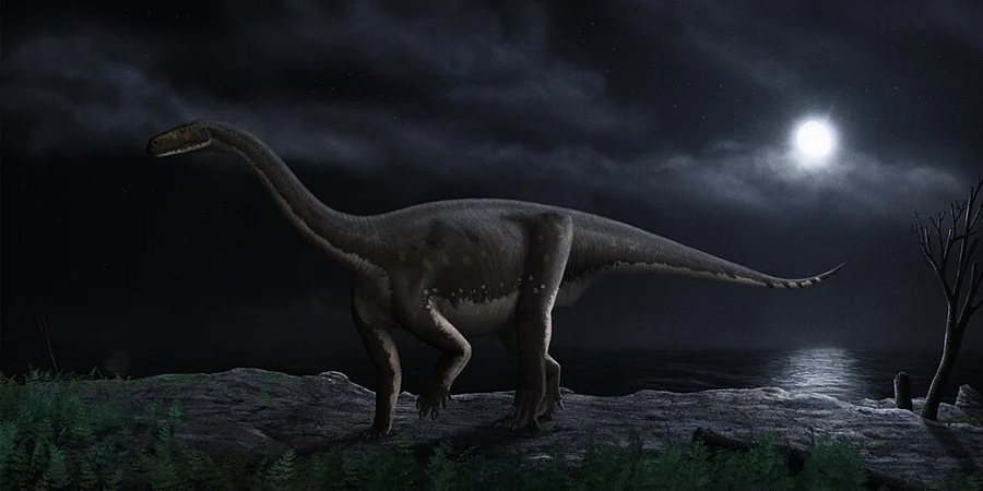 Melanorosaurus — Species reference illustration (not an in-game model)