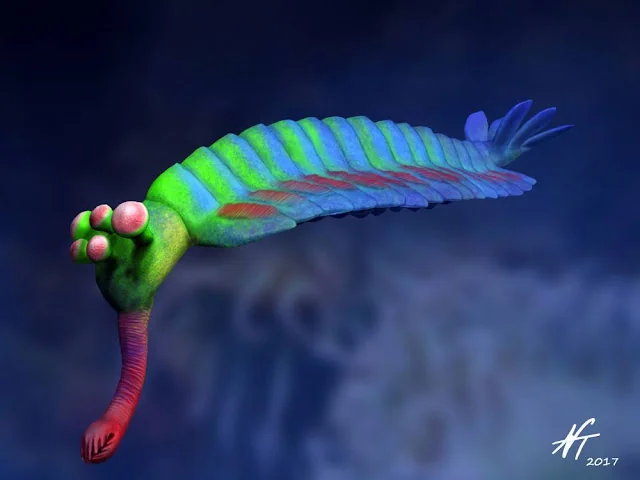 Opabinia — Species reference illustration (not an in-game model)