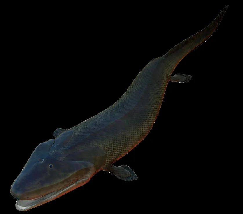 Tiktaalik — Species reference illustration (not an in-game model)