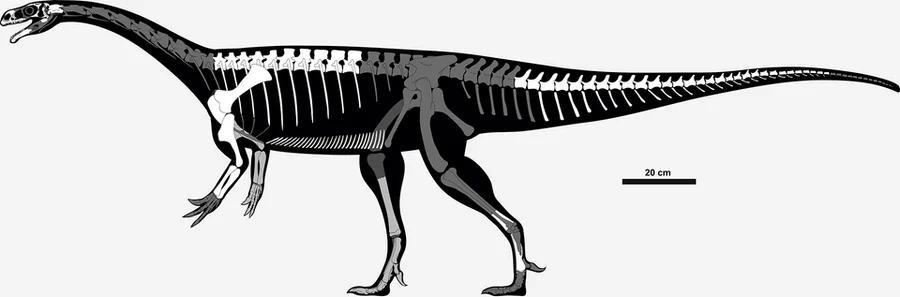 Unaysaurus Species reference illustration (not a game render)